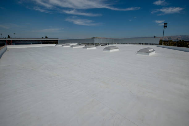 Best Asphalt Shingle Roofing  in Grifton, NC