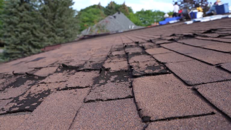 Best Steel Roofing  in Grifton, NC